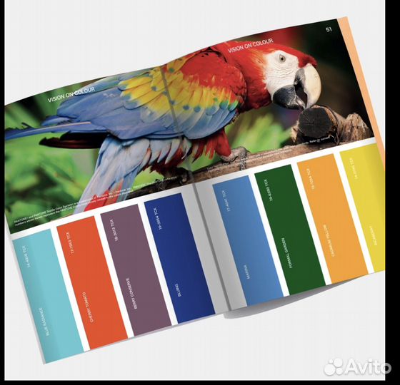 Дизайнер одежды, тренды, бренд одежды с нуля, мерч