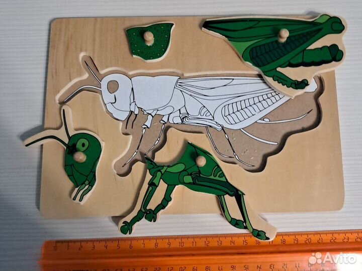 Развивающие игры для малышей