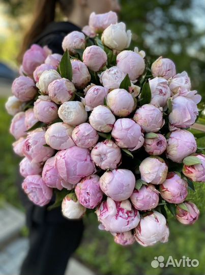 Пионы. Цветы и букеты из пионов