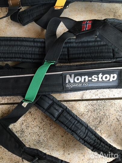 Шлейка ездовая NON-stop, Siberia