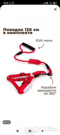 Шлейка с поводком