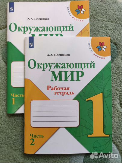 Рабочая тетрадь по окружающему миру 1 класс