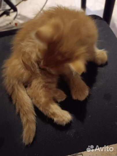 Мальчик в самые добрые ручки