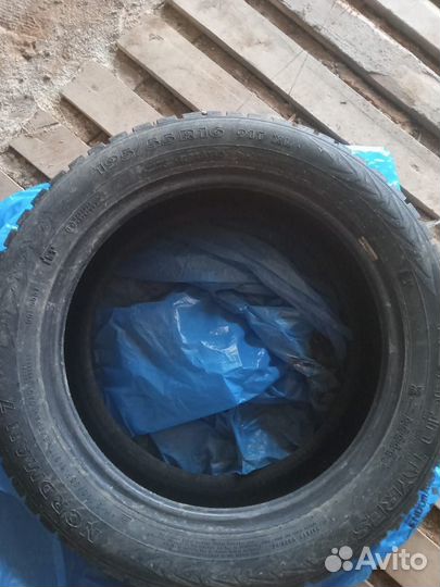 Ikon Tyres Nordman 7 195/55 R16 91