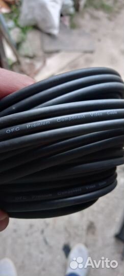 Тюльпаны провода