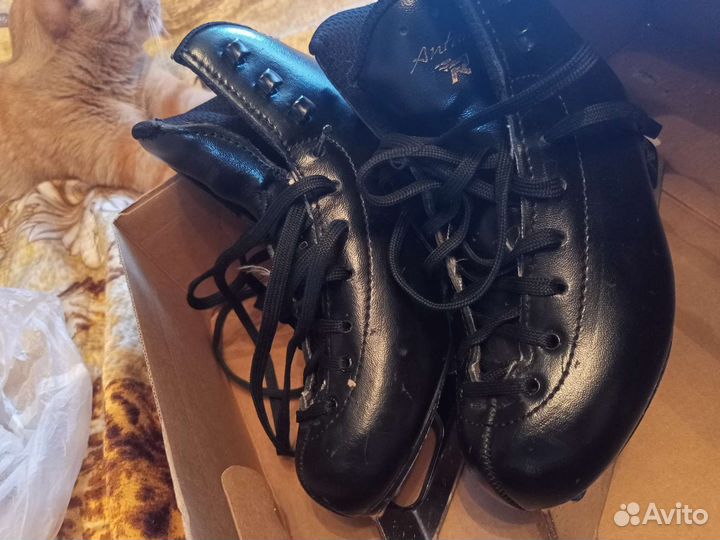 Фигурные коньки проф risport antares 205