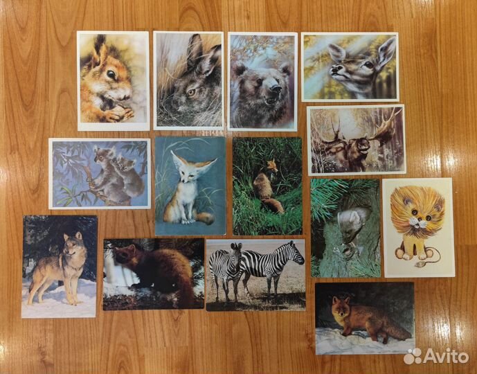 Открытки СССР