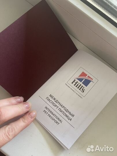 Паспорт для питомца