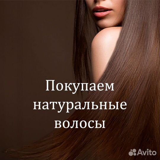 Скупка волос сдать продать волосы Мурманск