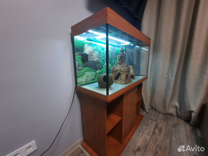Аквариум с тумбой 200 литров