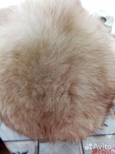 Шапка из песца