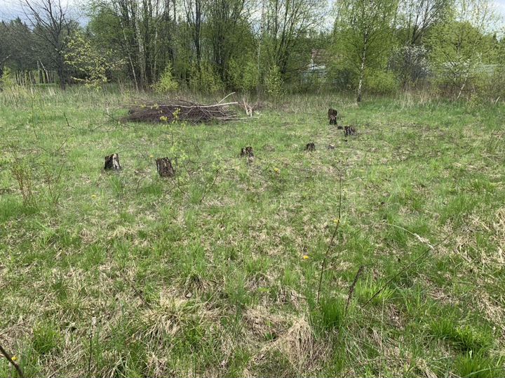 Участок 10 сот. (СНТ, ДНП)