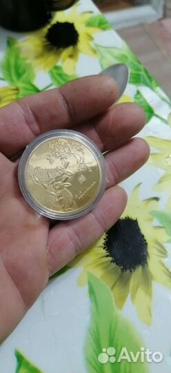 Символ года