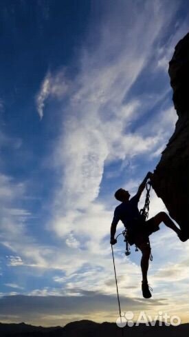Тендерный специалист/ госзакупки/ банкротство