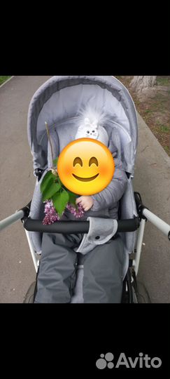 Коляска 2 в 1 indigo