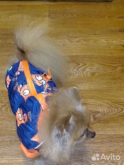 Дождевик для собаки, водонепроницаемый