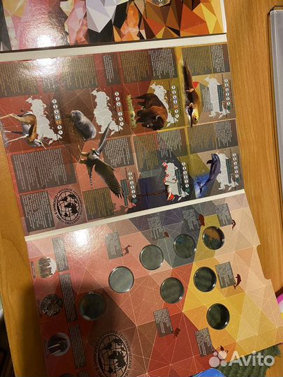 Альбом для монет