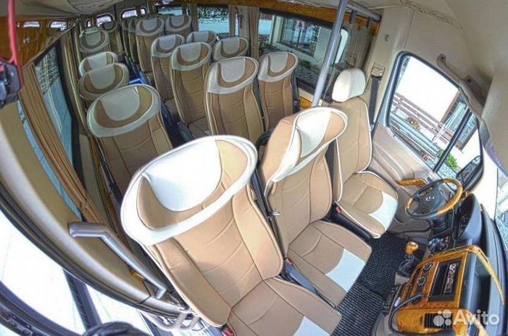 Поездки в Грузию