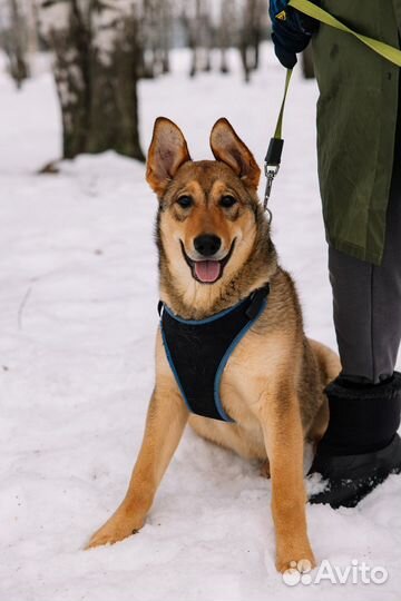 Малышка хочет жить дома