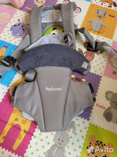 Эргорюкзак inglesina