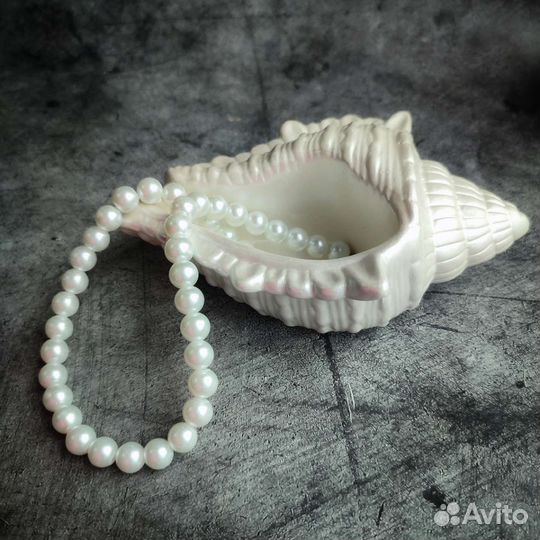 Ракушка декоративная