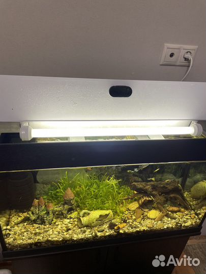 Аквариум 110-120 литров, венге