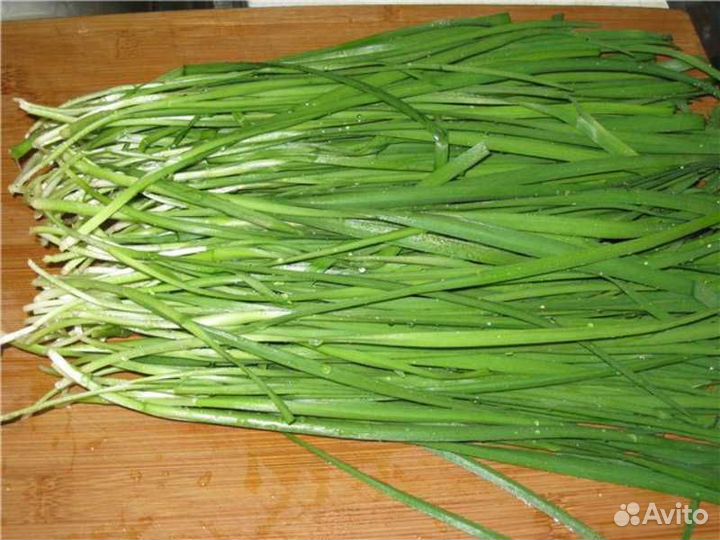 Дикий чеснок