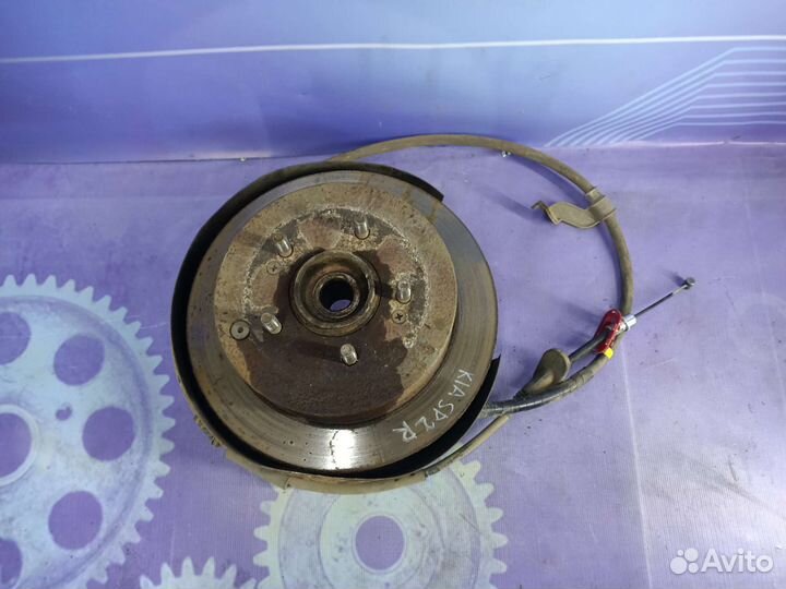 Кулак поворотный правый задний Kia Sportage 2