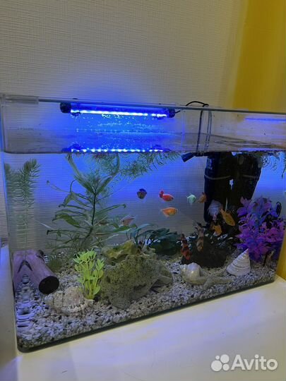 Аквариум без наполнения