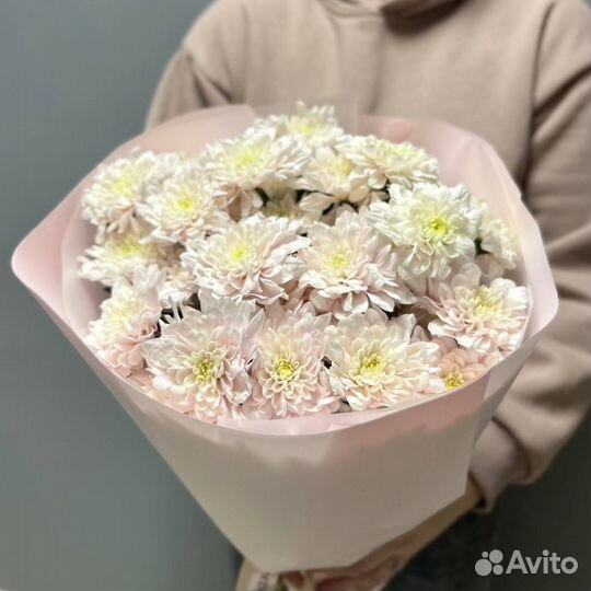 Хризантемы. Букет из хризантемы