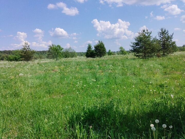 Участок 5,13 га (СНТ, ДНП)