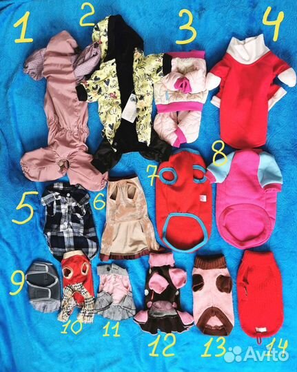 Много разных товаров для разных животных