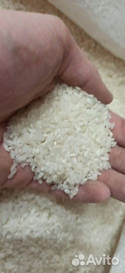 Гречка / рис