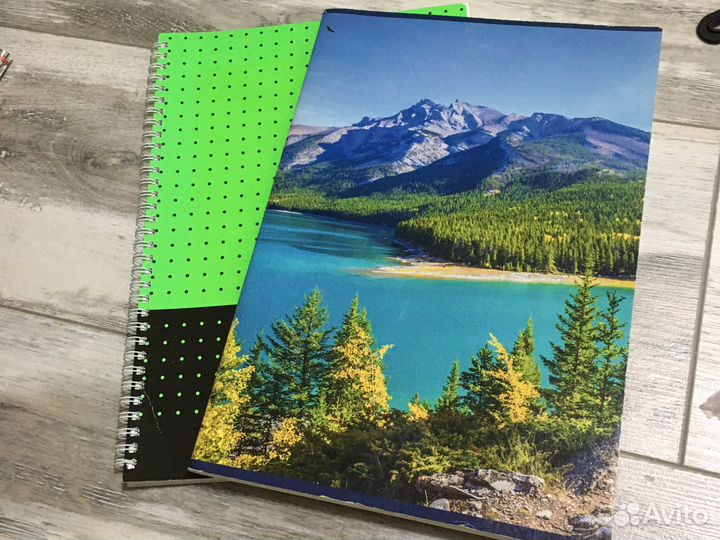 Тетрадь на кольцах a4 и обычные