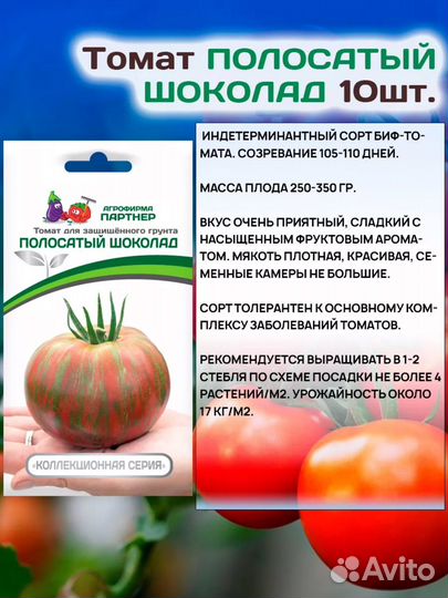 Рассада помидор