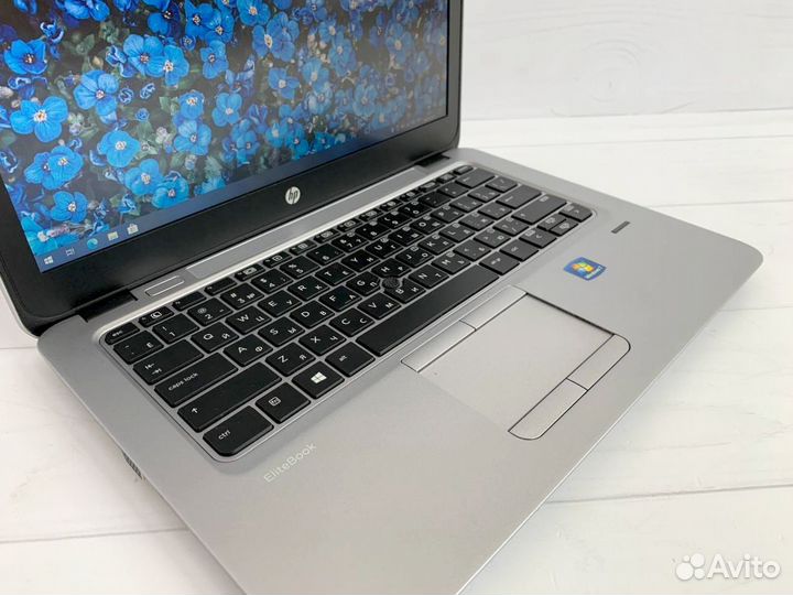 12 дюймов AMD A8 SSD HP EliteBook 725 Ноутбук