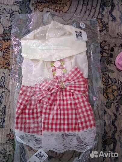 Вещи для маленькой собачки