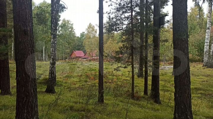 Участок 22 сот. (ИЖС)