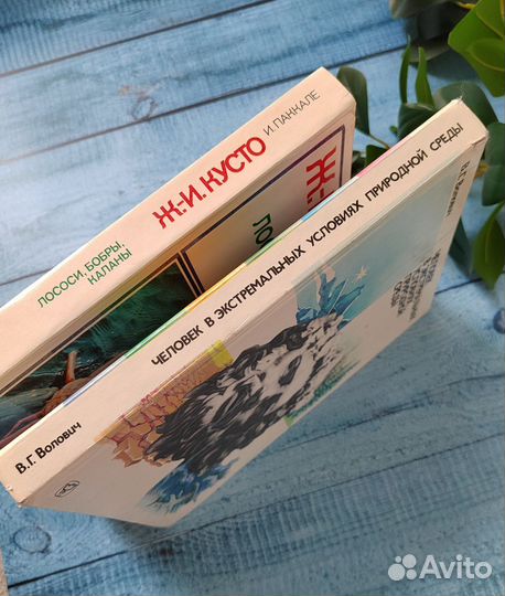 Книга Кусто Паккале