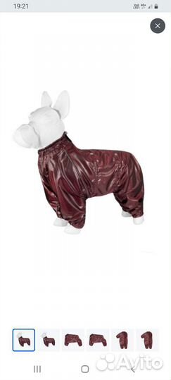 Комбинезон для собак средних пород(на мальчика)