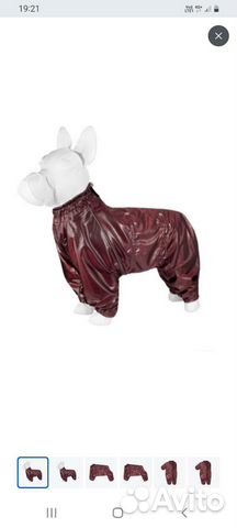 Комбинезон для собак средних пород(на мальчика)