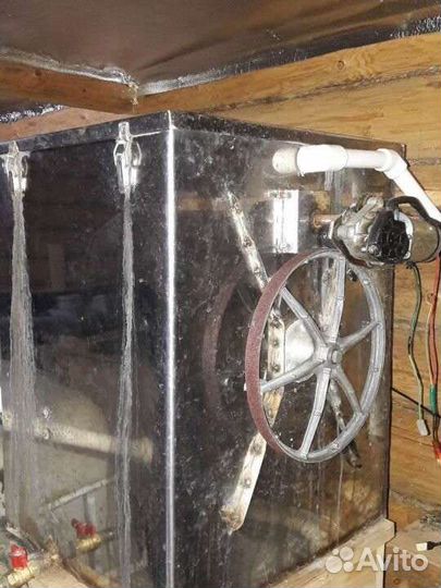 Разведение рыбы дома