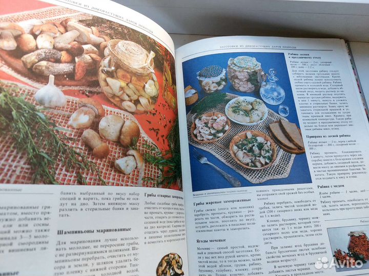 Книга Энциклопедия домашних заготовок