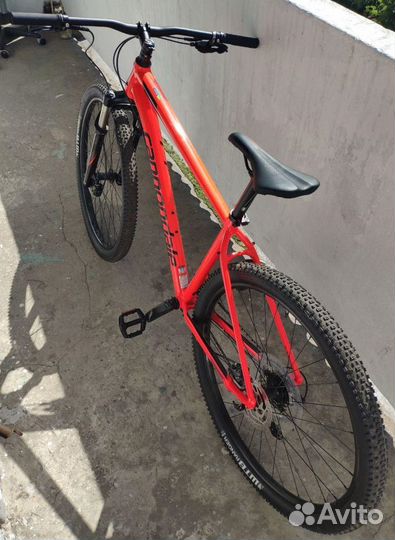 Cannondale trail best sale 3 red