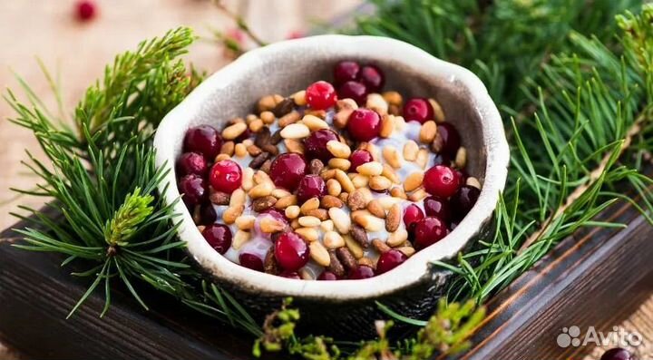 Упаковка кедрового ореха 500гр