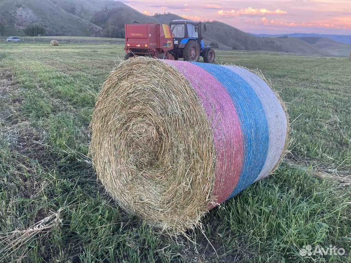 Продам зеленку в рулонах свежий укос