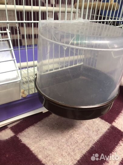 Клетка для попугая и переноска, террариум, лоток
