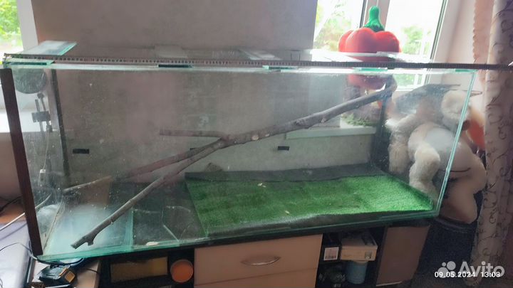 Аквариум, террариум 1м50/60/50