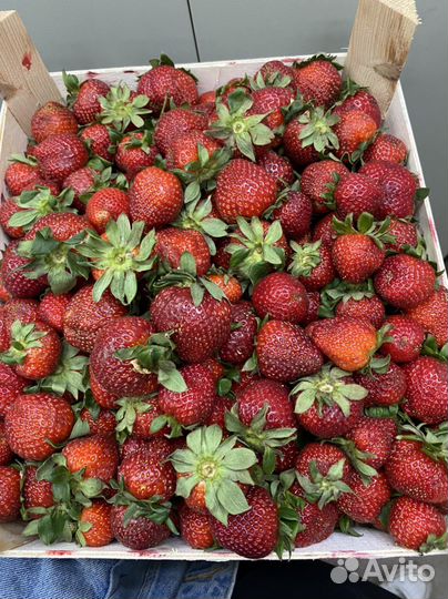 Клубника Турция сладкая 4кг