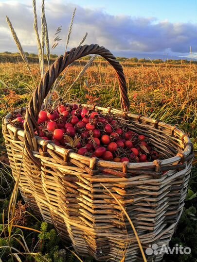 Туры на Камчатку, джип тур, экскурсии по Камчатке